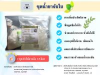 ชุดทำสารจับใบ น้ำยาจับใบ DIY ผสมน้ำได้ 12 ลิตร สุดคุ้ม