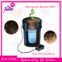 (พร้อมส่ง) ถังไฮโดรโปนิกส์ 1 ถัง ชุดพร้อมปลูก DWC Hydroponics bucket 20L DWC ระบบไฮโดรโปนิกส์ Cloner ถังเดี่ยว Hydroponic ครบชุด