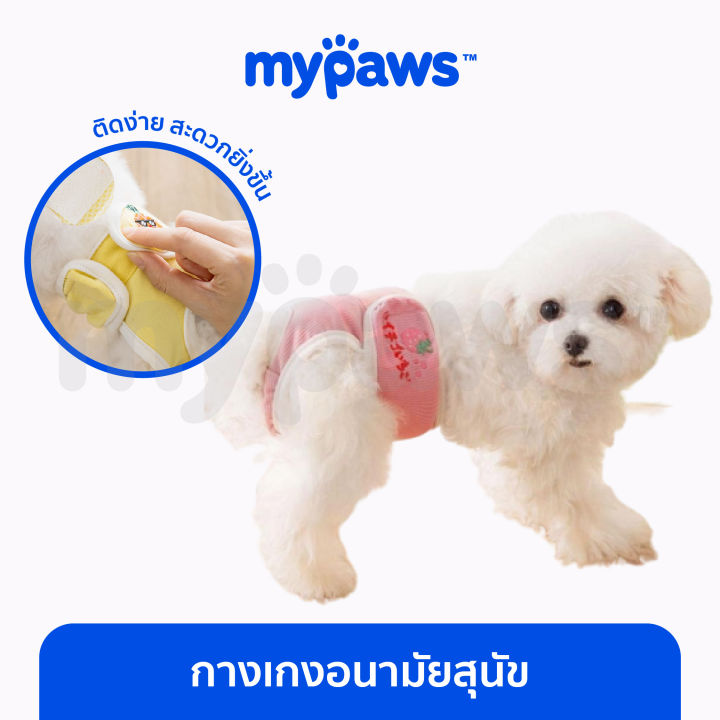 my-paws-กางเกงอนามัยสุนัข-กางเกงอนามัยสำหรับสัตว์เลี้ยง