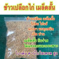 ข้าวเปลือกไก่ นก เมล็ดสั้น จากธรรมชาติ  ปลอดสารพิษ