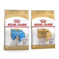 Royal Canin Jack Russel Puppy / Adult อาหารลูกสุนัข และสุนัขโต พันธุ์แจ็ค รัสเซล ขนาด 1.5 KG