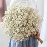 ธรรมชาติสดแห้งดอกไม้ที่เก็บรักษาไว้ Gypsophila Paniculata,ลมหายใจของทารกช่อดอกไม้ของขวัญสำหรับตกแต่งงานแต่งงาน,ตกแต่งบ้าน