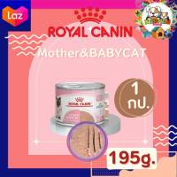 Royal Canin FHN Babycat Can สำหรับลูกแมวอายุ 1-4 เดือน แบบกระป๋อง 195g.