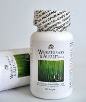 Wheatgrass &amp; Alfalfa Plus ผักเม็ด วีทกราสและอัลฟัลฟา แอมสตรองเน็ทเวิร์ค super green food (1 กระปุก 120 เม็ด )