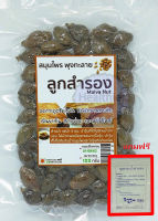 ลูกสำรอง (Malva Nut) 100 กรัม (แถม ถุงกรองน้ำสำรอง)