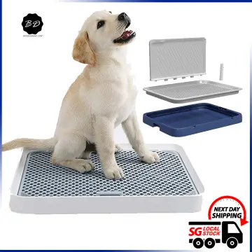 Where to Buy Dog Toilet Tray in Singapore