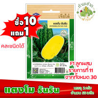 (ซื้อ10แถม1) เมล็ดพันธุ์ แตงโม รันรัน Watermelon run run ประมาณ 55เมล็ด เจียไต๋ เมล็ดพันธุ์พืช เมล็ดพันธุ์ผัก เมล็ดผัก เม็ดผัก ผักสวนครัว พืชผัก