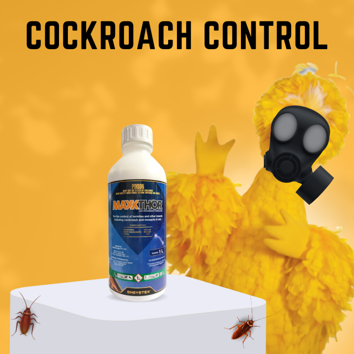 MAXXTHOR SC BIFENTHRIN (GENERAL PEST & TERMITE CONTROL) Lazada PH