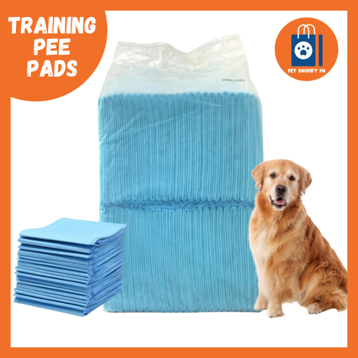 Potty Training Pad pee Pad for Dogs per PACK Lazada PH