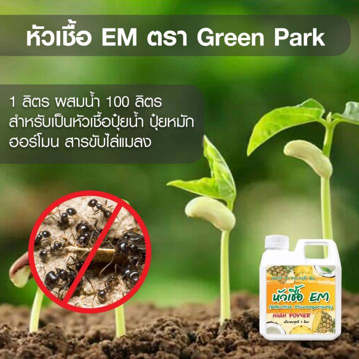 หัวเชื้อ-em-ขนาด-5-ลิตร-ต้นตำรับ-ญี่ปุ่น-สูตรตั้งต้น-ขยายได้-ส้วมตัน-น้ำเสีย-ดับกลิ่น-บ่อน้ำเสีย-กรง-หมา-จุลินทรีย์-หัวเชื้อทำปุ๋ย-em-อีเอม