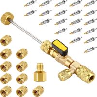 ¤✣ Valve Core Remover Installer Kit with 20 PCS Valve Cores and 10 PCS Brass Nuts with Dual Size SAE 1/4 amp; 5/16 Port for R410 R22