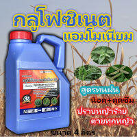 กลูโฟซิเนต แอมโมเนียม 4 ลิตร น้ำสีฟ้าสูตรพิเศษ เทวดารวงข้าว สูตรทนฝน  กลูโฟ ลูบข้าวดีด หญ้าใบแคบ ใบกว้าง เผาไหม้ ตายถึงรากถึงโคน