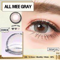 คอนแทคเลนส์ All Me Brown / Gray (We Wink ฝาทอง) ขนาดบิ๊กอาย ?