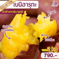 มันหวานญี่ปุ่น เบนิฮารุกะ 2kg มันญี่ปุ่นหวาน มันหวานญี่ปุ่น มันหวาน มันหวานญี่ปุ่นเบนิฮารุกะ มันหวานญี่ปุ่นsp มันหวานญี่ปุ่นmg