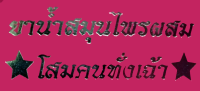 สูตรน้ำสมุนไพร โสมคนทั่งเฉ้า ถั่งเช่าธิเบต (TUNG CHOW GINENG) ขนาด 750 มิลลิลิตร ขวดแก้ว