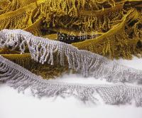 [HOT!] 3yards Gold Rayon Twist Rope Fringe Lace Trim Macrame Clothing Upholster Accessories Handmade Diy Decor 4.5cm Tassel Lace fabric