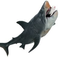 การจำลองของโมเดลสัตว์ทะเลยุคก่อนประวัติศาสตร์ชอล์กหนามฉลาม Megalodon ฉลามฉลามขาวเสือฉลามของเล่นสำหรับตกแต่งตัวเลขการกระทำ