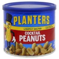 Planters Lightly Salted Cocktail Peanuts 340g