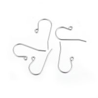 1Box 316 Stainless Steel Earring Hooks Ear Wire with Horizontal Loop Stainless Steel Color 16x27x0.8mm Hole: 2mm Pin: 0.8mm