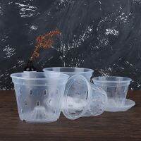 【YF】✷✉✼  1Pc Flowerpot Garden Drainage Pots with Holes Transparent Orchid Baskets Plastic Breathable Accessories