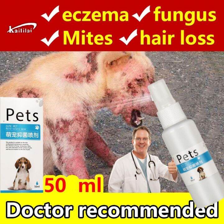 gulia [Vet Skin Treatment for Dogs Dog Skin Disease Pet