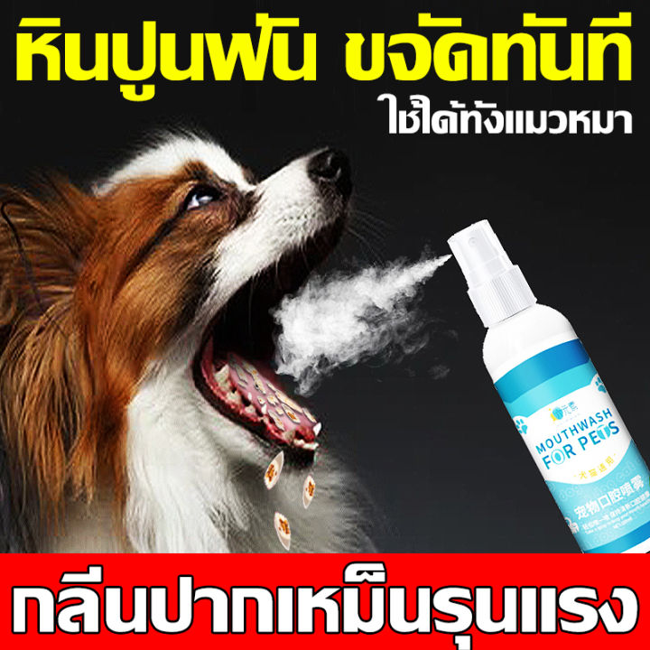 แนะนำจากหมอสัตว์เสี้ยง-liuyuan-น้ำยาดับกลิ่นปากแมว-100ml-น้ำยาดับกลิ่นปากสุนัข-ป้องกันโรคในช่องปากของสัตว์เลี้ยง-ขจัดฟันคราบพลัคแคลคูลัสทันตกรรมใช้ได้ทั้งแมวและสุนัข-ดับกลิ่นปากแมว-ดับกลิ่นปากหมา-สเปร