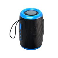 TSN-1 Bluetooth with 5.3 Stereo FM/SD/USB Disk/Aux Modes for Outdoor Hifi Sound