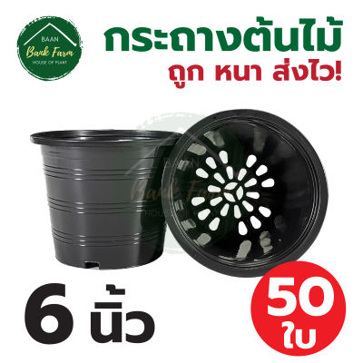 กระถาง6นิ้ว สีดำ (50ใบ) กระถางราคาถูก กระถางพลาสติก กระถางต้นไม้ l บ้านแบงค์ฟาร์ม