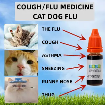 Cat sale cough medicine