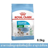 (ลด50%) [8.5kg]อาหารลูกสุนัขพันธุ์เล็กอายุ1-2เดือน และแม่สุนัขตั้งท้อง รอยัลคานิน สูตร Mini Starter เม็ดเล็ก (1ถุง) Royal Canin เฉพาะวันนี้เท่านั้น !