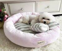 Kutiepom ที่นอน หมอน เตียง สุนัข และ แมว Pet bed for cat and dog