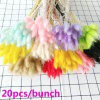 20pcs Natural Dried Flowers White Artificial Flowers Colorful Fake Rabbit Tail Grass Bouquet Long Bunches