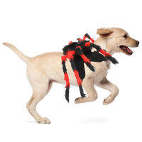 Pet Spider Costume Halloween Spider Costume สำหรับแมวและสุนัขขนาดเล็กถึงขนาดกลาง