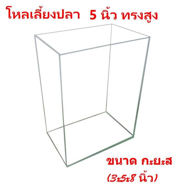 โหลเลี้ยงปลา-ทรงสูง-3x5x8-นิ้ว-กระจกหนา-3-มิล