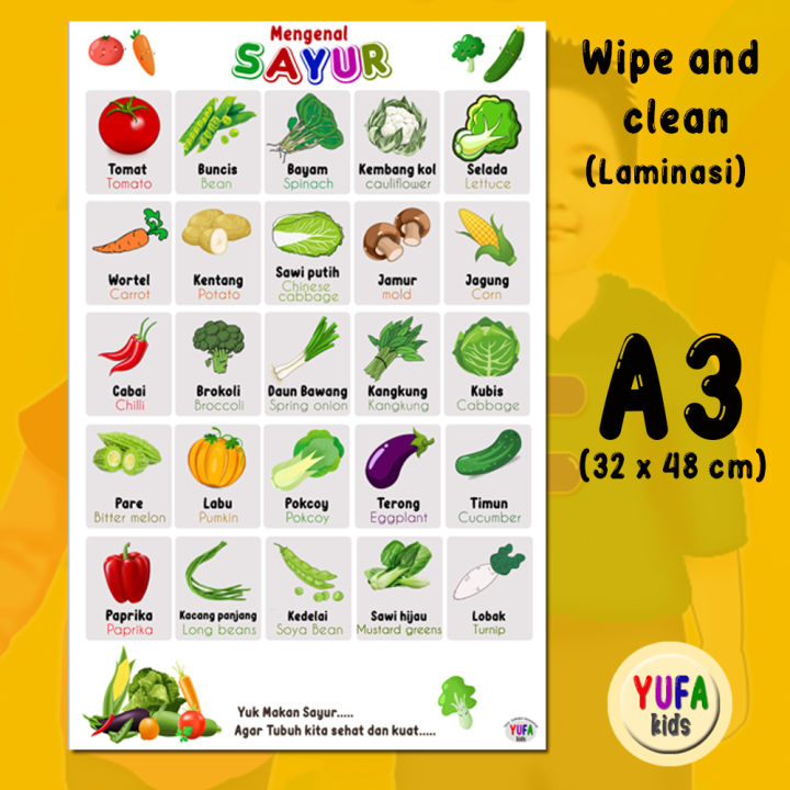 025 Poster Mengenal Sayur Sayuran Poster Wipe N Clean Poster