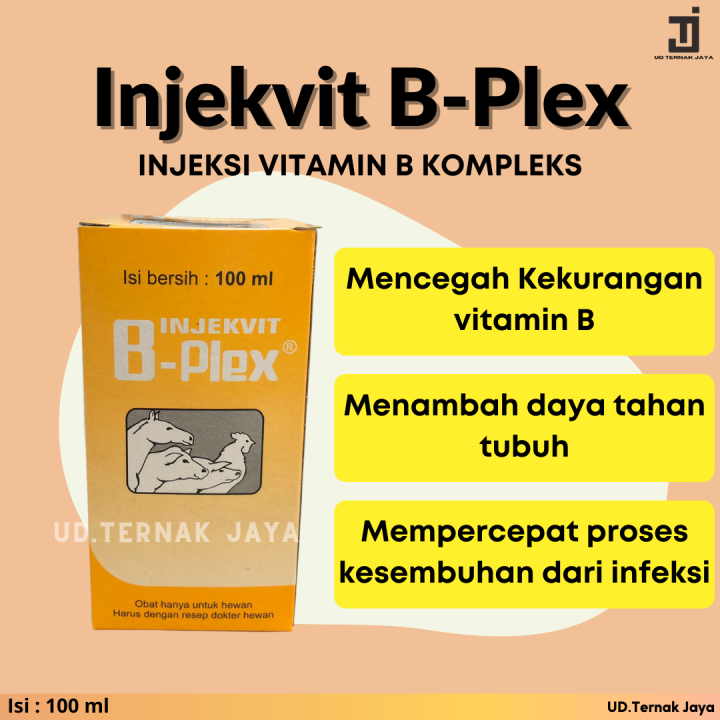 Injekvit B-Plex Injeksi Vitamin B Kompleks 100 Ml Untuk Hewan Ternak ...