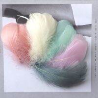 50/100pcs Colored Big Feather Middle Floating for Wedding Clothing Bulk Fluffy Plumes Accessories 8-12cm