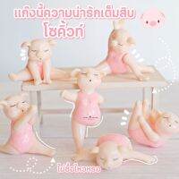 MS5180 โมเดลหมูโยคะ Ver.2 ตุ๊กตาหมูโยคะตกแต่งสวน (ชุด 6 แบบ)