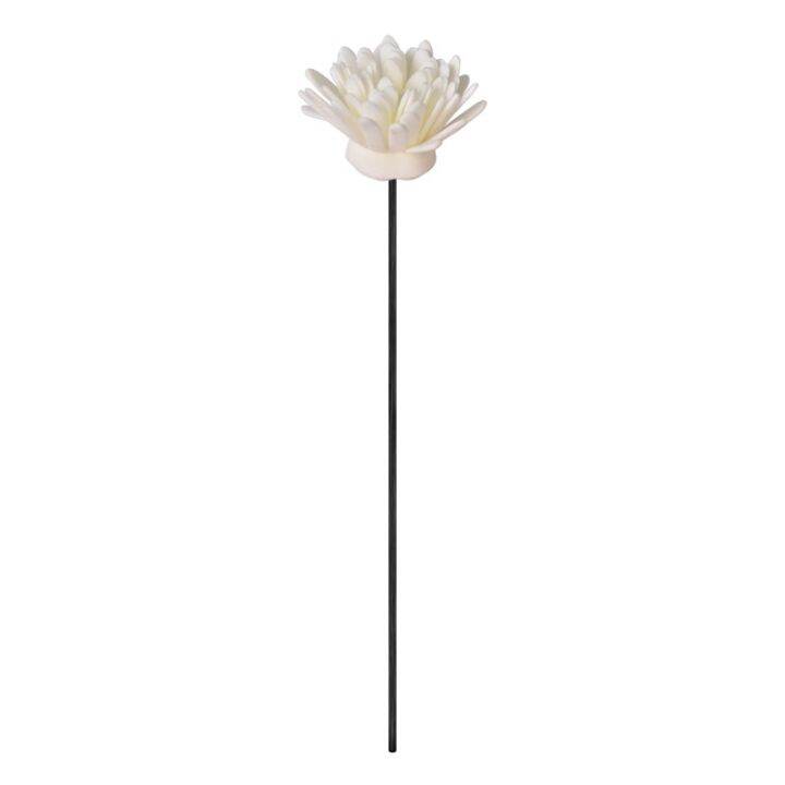 toilet-water-expansion-of-incense-sticks-fragrance-cane-into-a-cigarette-stick-volatile-liquid-dry-flower-tools-home-fragrance-expansion-without-fire-sweet-atmosphere-bar