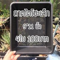 สินค้าแนะนำ? [ราคาปลีก-ส่ง] ถาดไดโซะเล็ก 9*11นิ้ว 4ใบ 100บาท