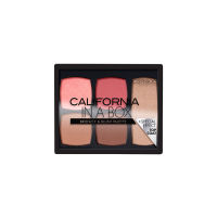 Catrice California In A Box Bronzer &amp; Blush Palette 010