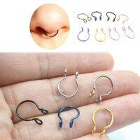 2022 New Nose Ring Reusable Alloy Fake Magnetic False Nose Ring Couple Horseshoes 1PC No Piercing Rings Jewelry Party Bar