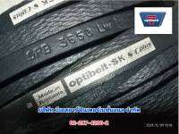 OPTIBELT SK SPB3150 SPB3250 SPB3350 SPB3550 SPB3650 SPB3750 SPB4000