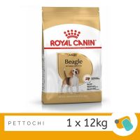 Royal Canin Beagle Adult 12 KG รอยัลคานิน บีเกิ้ล อาหารสุนัขโต