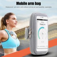 Outdoor Sports Arm Bag Waterproof Phone Holder Arm Bag Touchable Screen Running Arm Case Mobile Cell Pouch Bags