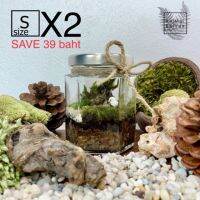 ชุดจัดสวนขวด DIY terrarium ทรง6เหลี่ยม Size S SET X2 ราคาประหยัด จากราคาปกติ 298บาท ประหยัดไปถึง 39บาท