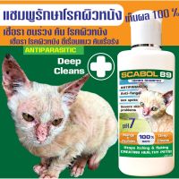 !!! พิเศษ ✅แชมพูยา SCABOL 89 (สูตรแมว) 240 ml. เชื้อรา ขนร่วง ตกสะเก็ด คันเรื้อรัง โรคผิวหนัง