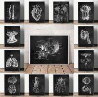 2023 ☂ Anatomy Art White and Black Medical Canvas Painting Flower Organ Cardio Lung Poster Printing Education Hospital Home Decor