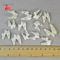 30pcs DIY beads White Conjoined Tooth Natural Bone Beads Pendants For Jewelry Making Fashion Accessories 15~25mm Hole: 1.0