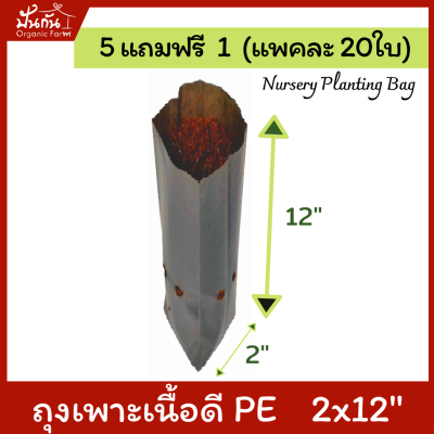 [5แถมฟรี1] ถุงปลูกต้นไม้ 2x12” ถุงเพาะชำ ถุงเพาะสีดำ เจาะรู แพคละ20ใบ [สั่ง5แพค แถมอีก1แพค] [Nursery Planting Bag] เนื้อ PE เหนียว ทน อายุใช้งาน 1.5 ปี